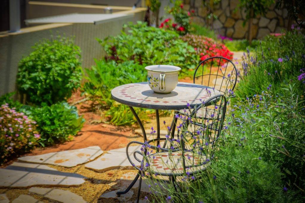 רואים נוף רואים נוף