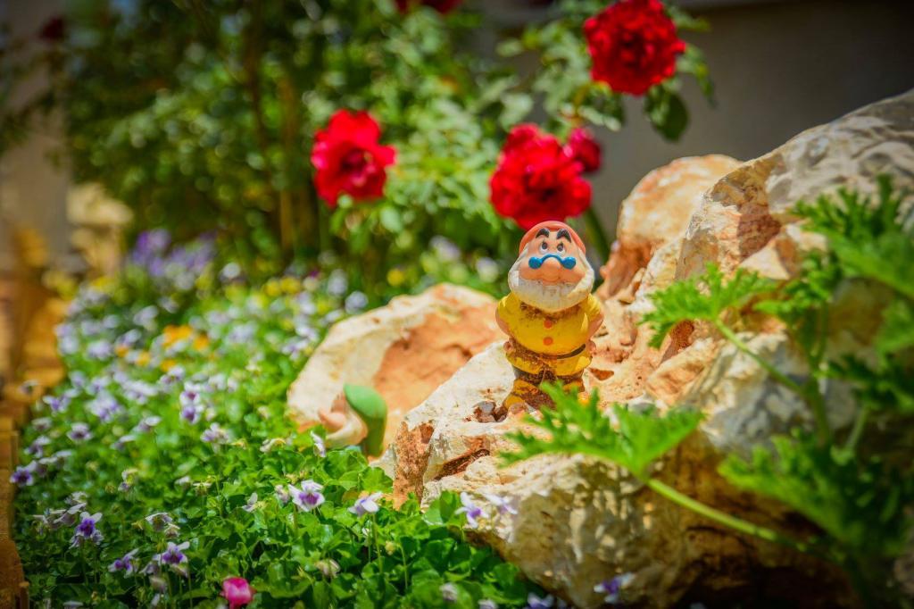 רואים נוף רואים נוף