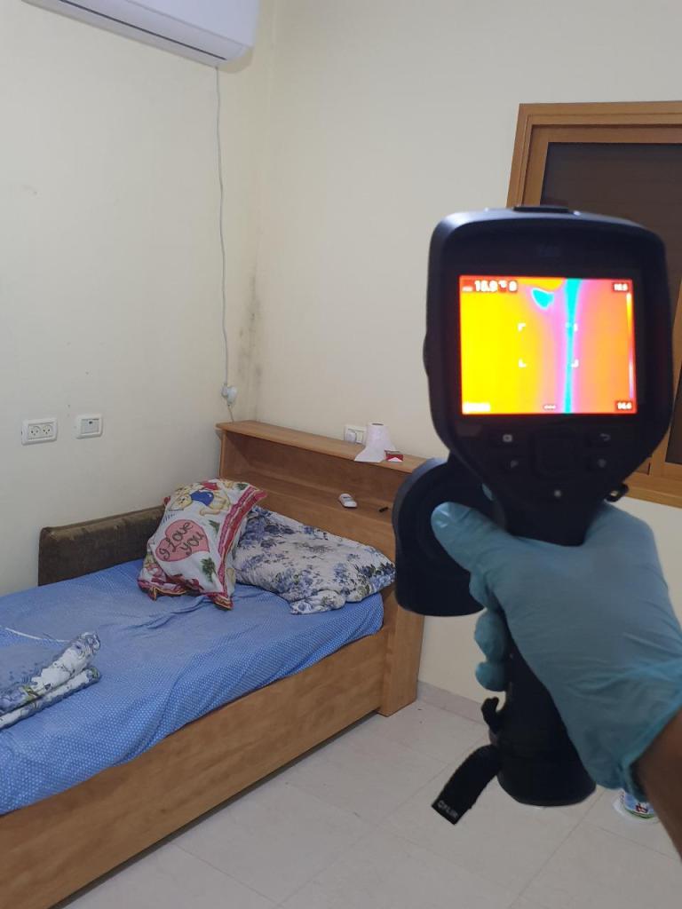 אלמוג המאתר אלמוג המאתר