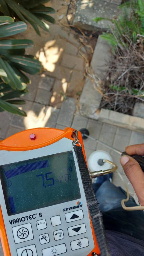 אלמוג המאתר אלמוג המאתר