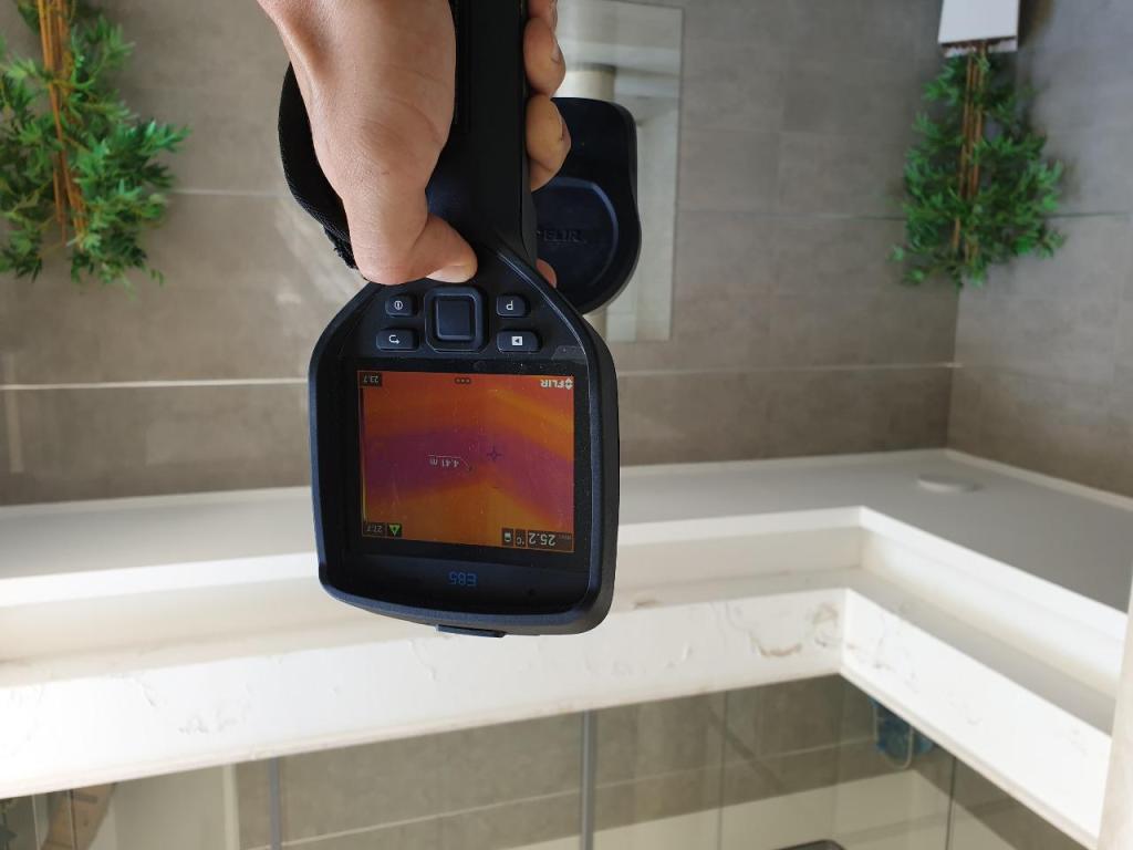 אלמוג המאתר אלמוג המאתר