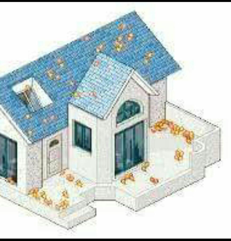 יעקב צאושו יעקב צאושו