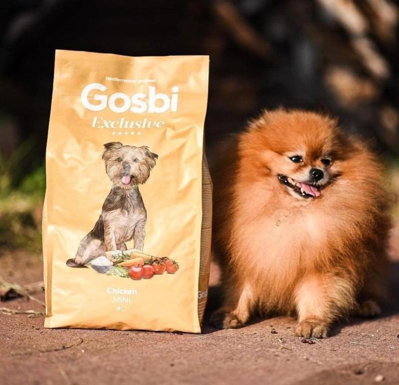 הלוחש לחיות הלוחש לחיות