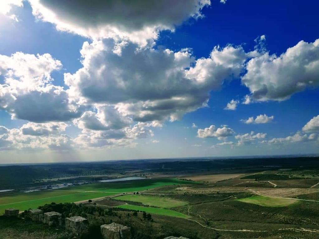 בידיים אוהבות בידיים אוהבות