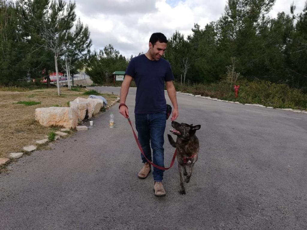 רון מורד מאלף כלבים רון מורד מאלף כלבים