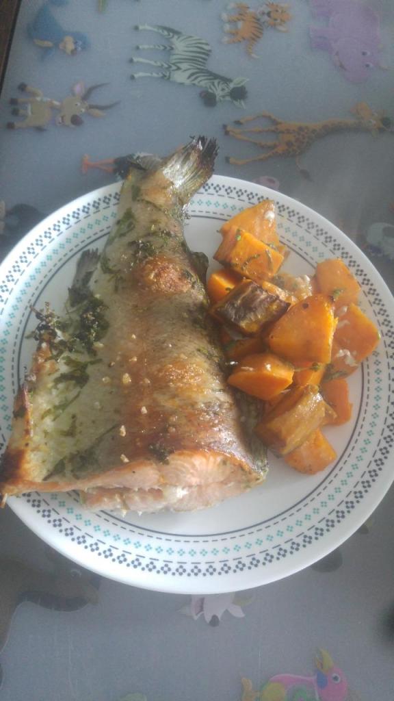 גיא דגים גיא דגים