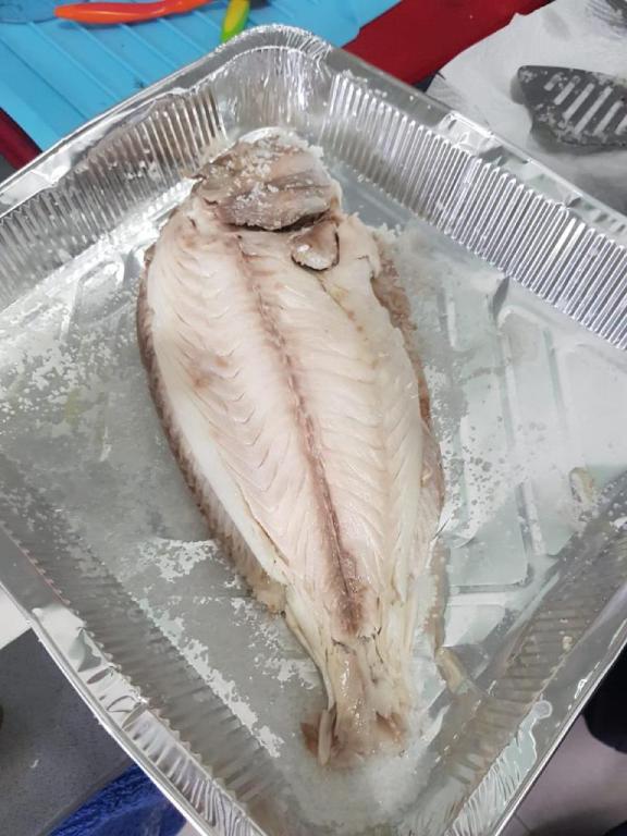 גיא דגים גיא דגים