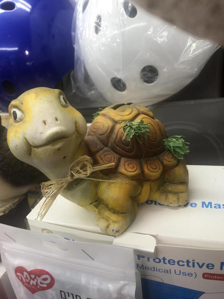 רזי סרטים ואקסוסריז רזי סרטים ואקסוסריז