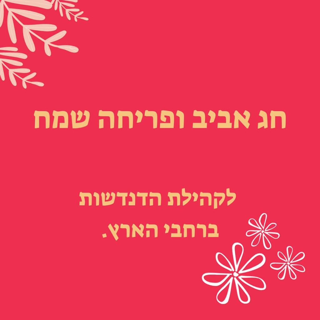 דנדשה דנדשה