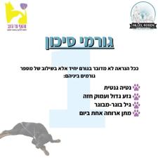 הלל רוזןdog communicator