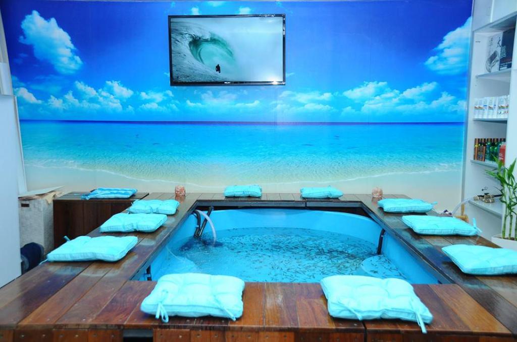 ספא דגים דוקטור דג ספא דגים דוקטור דג