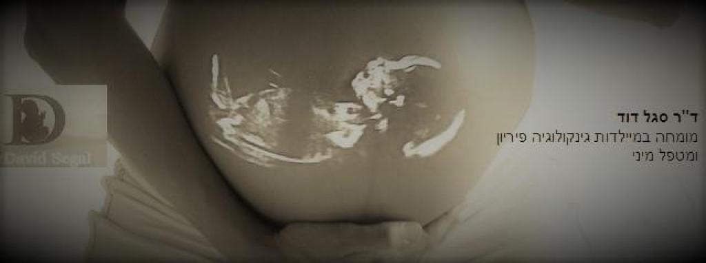 סגל דוד רופא נשים סגל דוד רופא נשים