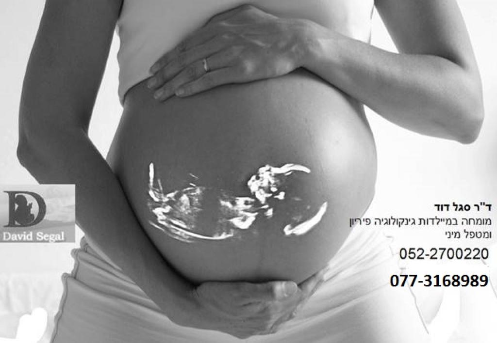 סגל דוד רופא נשים סגל דוד רופא נשים