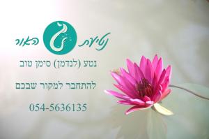 נטע סימן טוב נטיעת האור