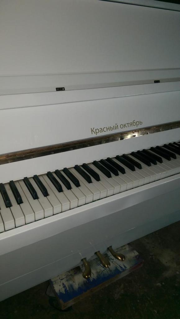 רוני מכוון פסנתרים רוני מכוון פסנתרים