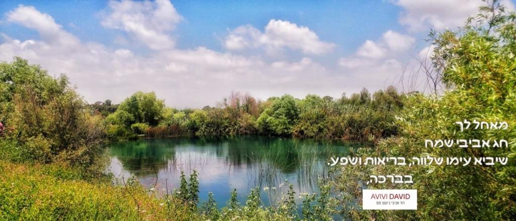 דוד אביבי דוד אביבי