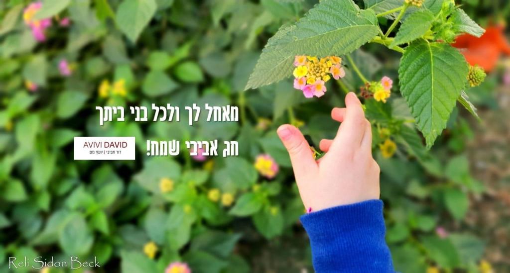 דוד אביבי דוד אביבי