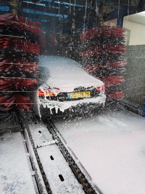 אמנון המבריק אמנון המבריק