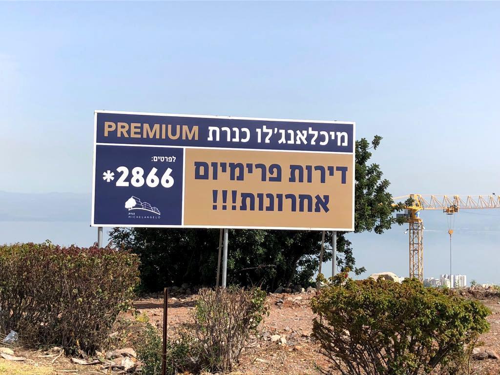 דוד תרון דוד תרון