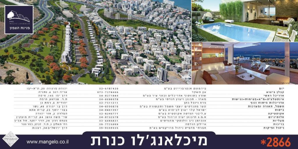 דוד תרון דוד תרון