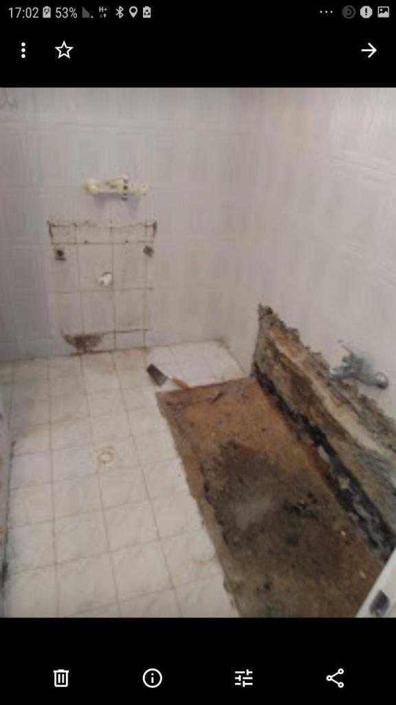 דוד עבודות גמר דוד עבודות גמר