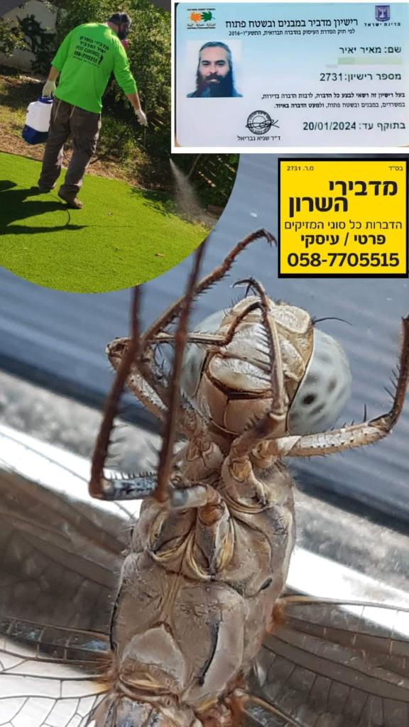 מדבירי השרון מדבירי השרון