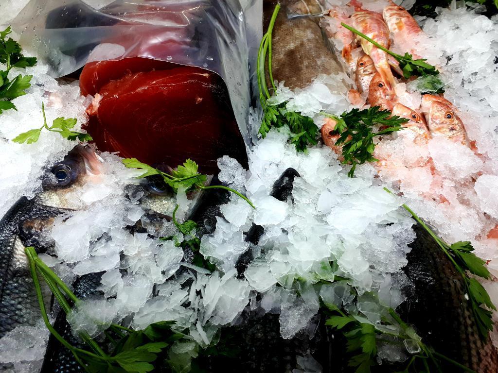 דגי הקיבוצים רמת ספיר דגי הקיבוצים רמת ספיר