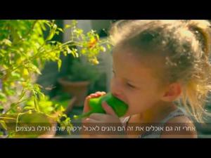 חביתותים