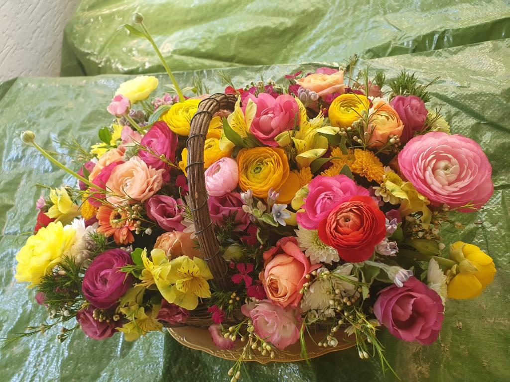 טופנט גלובל טופנט גלובל