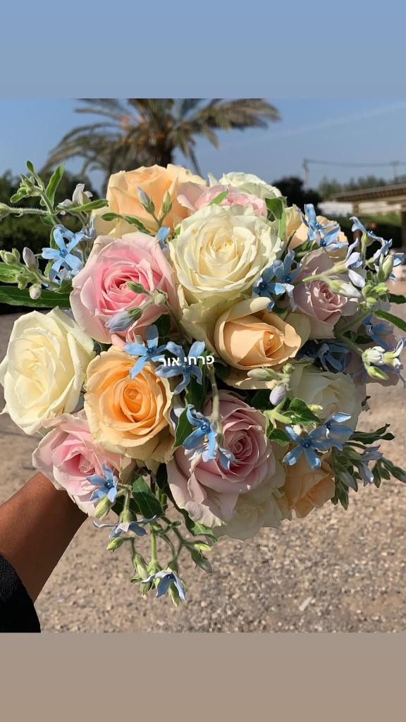 פרחי אור פרחי אור