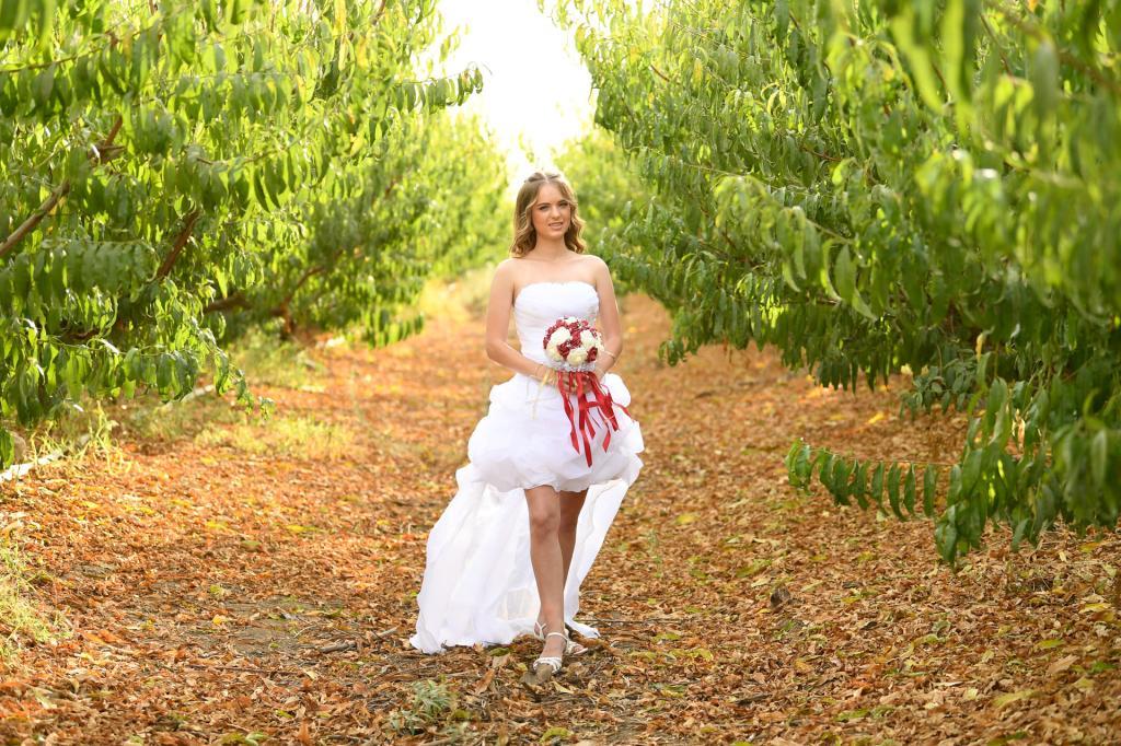 מקסים צלם חתונות מקסים צלם חתונות