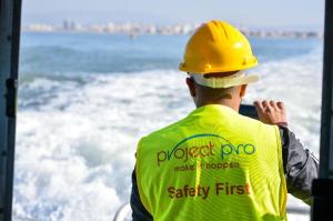Project pro