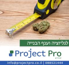 Project pro