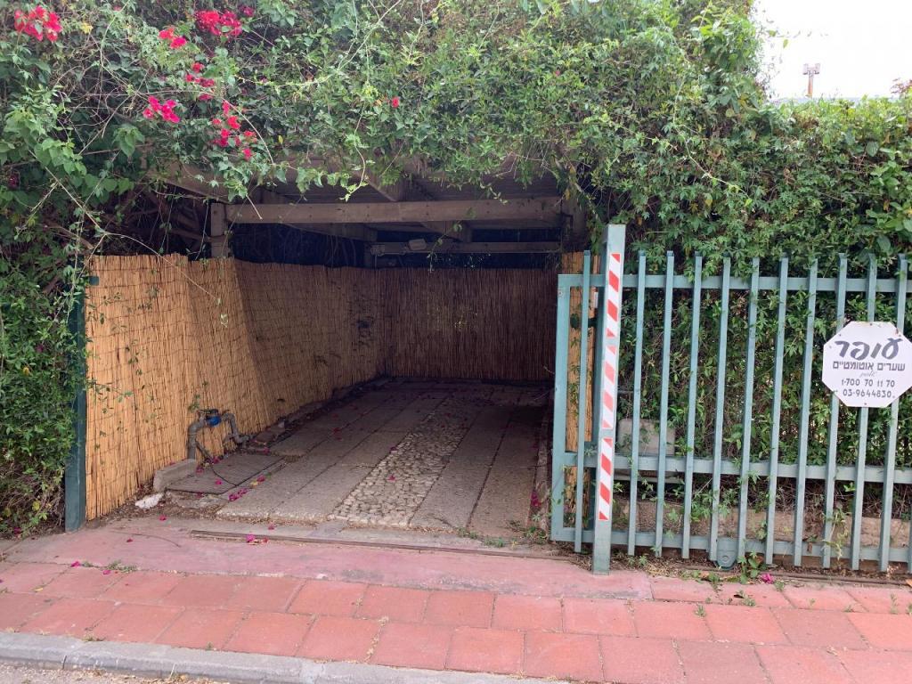 תמיר ללוז תמיר ללוז