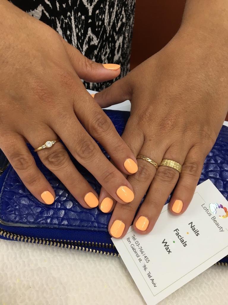 לוטוס ביוטי לוטוס ביוטי