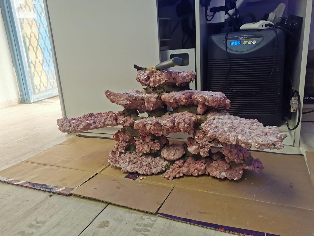 סלע משה ריף ומרינה סלע משה ריף ומרינה