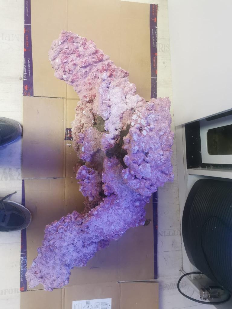 סלע משה ריף ומרינה סלע משה ריף ומרינה