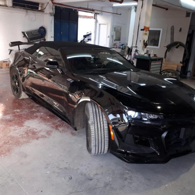 אלי ברכה אלי ברכה