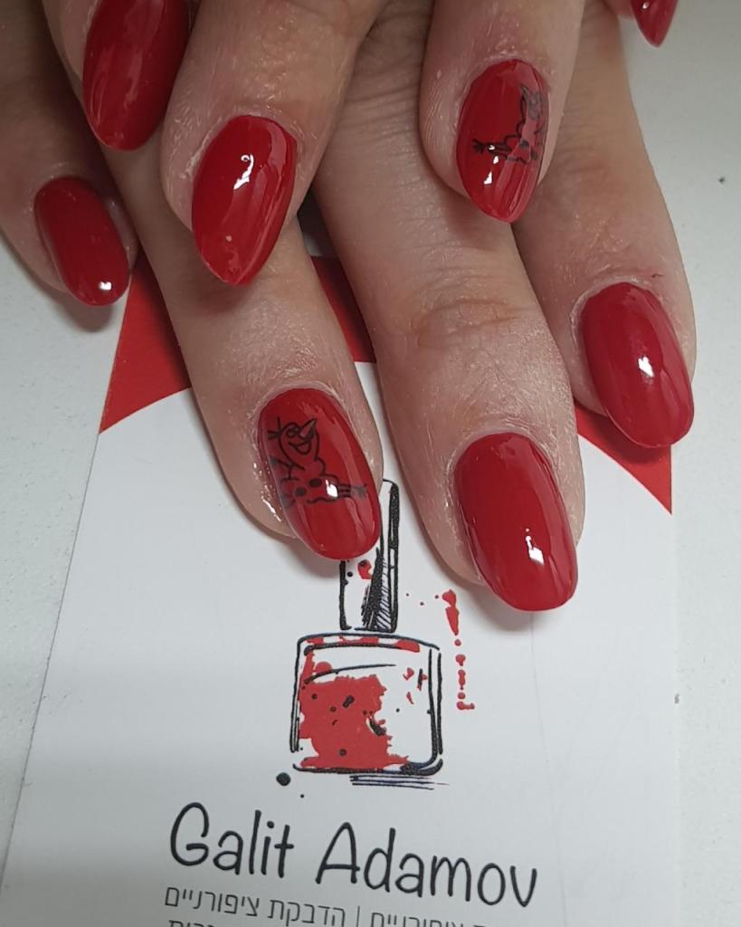 גלית אדמוב גלית אדמוב