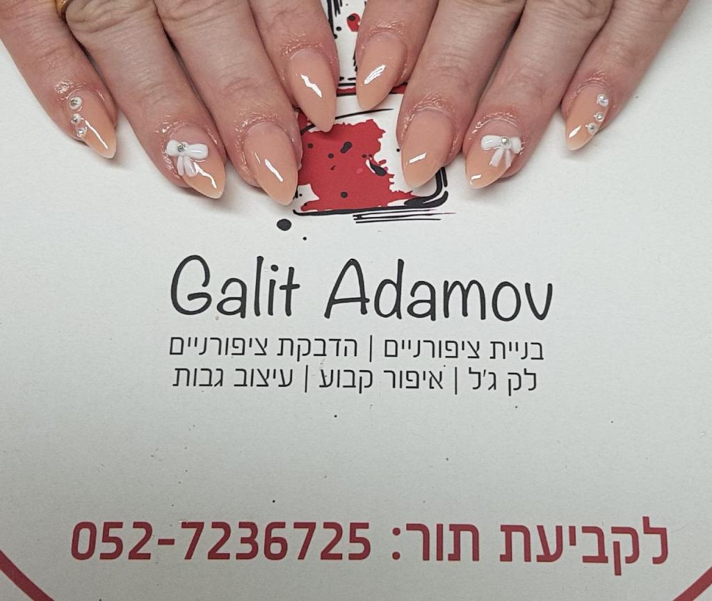 גלית אדמוב גלית אדמוב