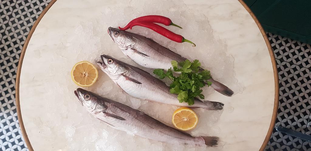 בוטיק דגים בוטיק דגים