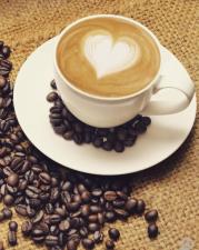 h&d coffee
