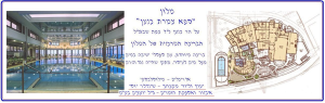 גייל יועצים