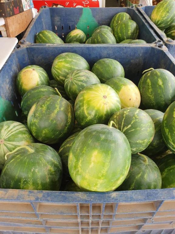 אדום בכפר אדום בכפר