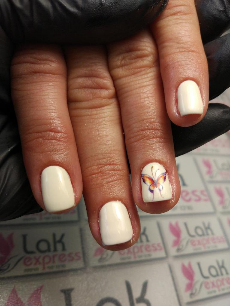 לק אקספרס לק אקספרס