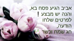 יניב מלול עיסוי לגוף ולנפש