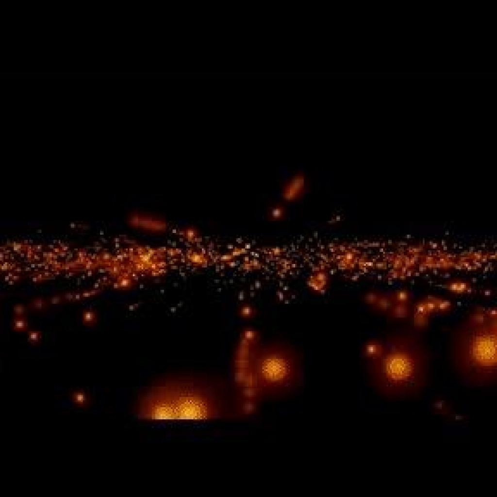 דיגיטליקס דיגיטליקס