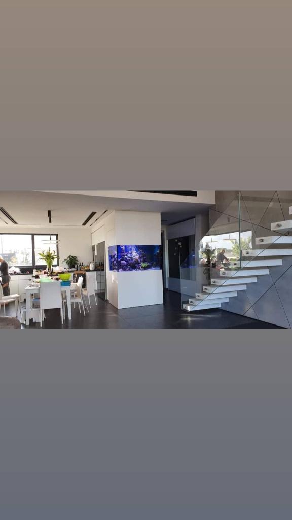 אי האלמוגים אי האלמוגים