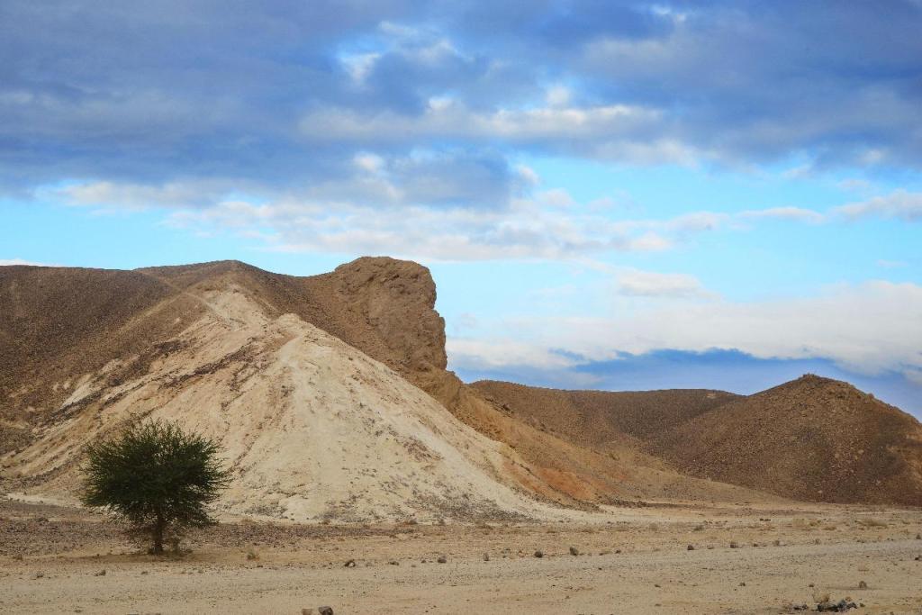 טיים אאוט טיים אאוט