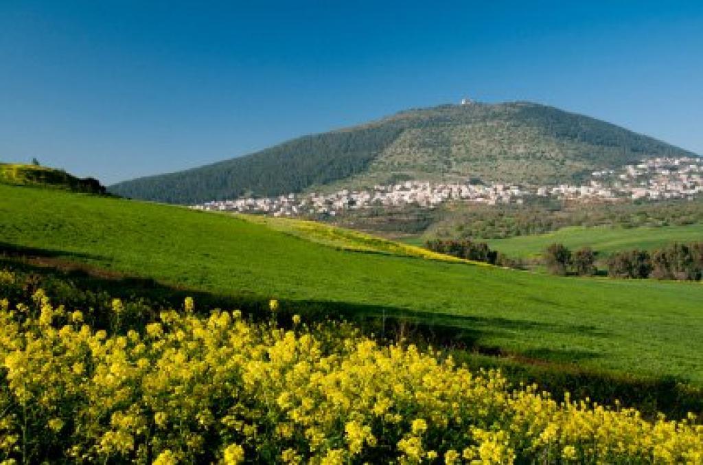 מכבסת שלג התבור חנהל'ה מכבסת שלג התבור חנהל'ה